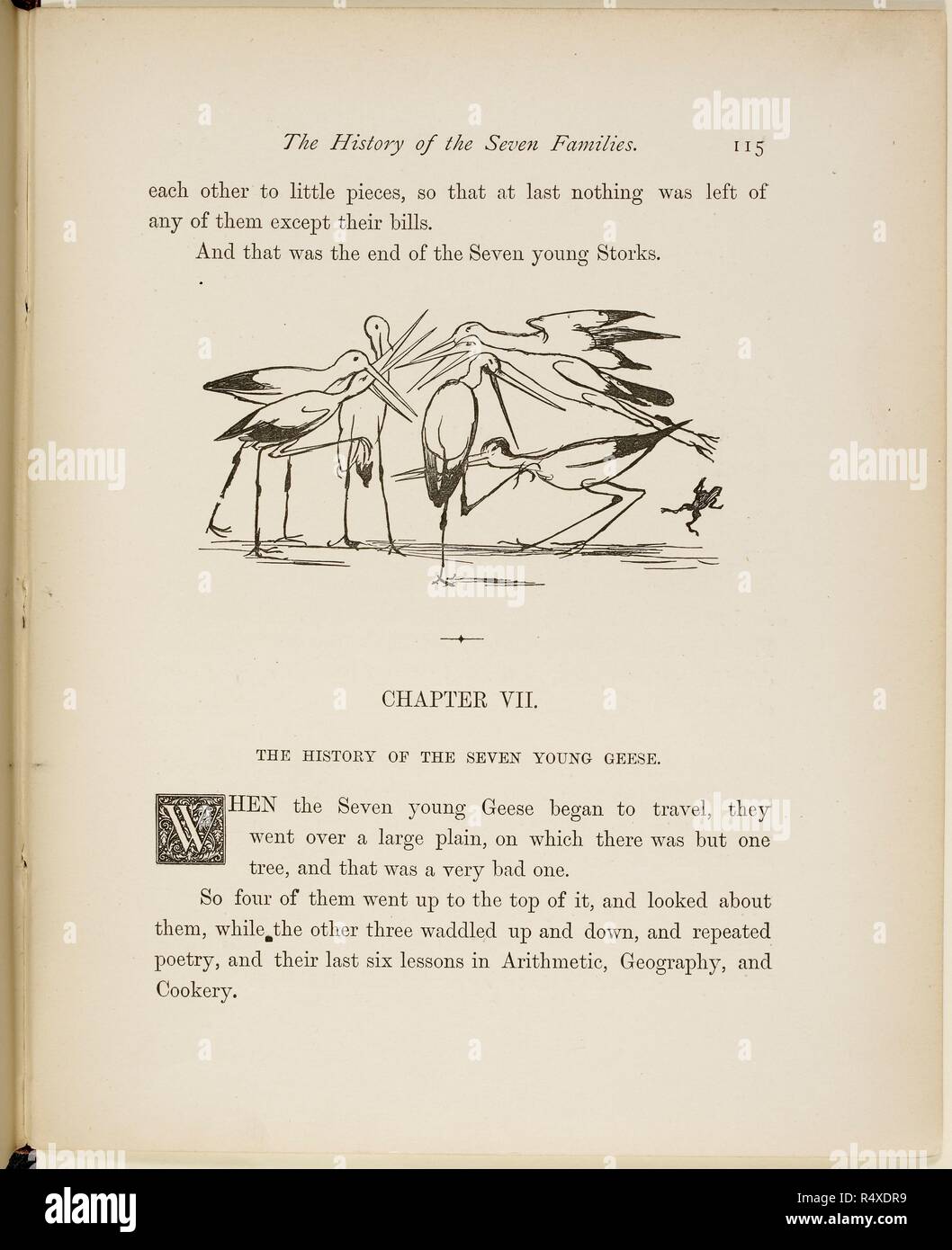 Familie der Störche, die Bekämpfung von Versen und Illustrationen aus einem Buch von Unsinn von Lear. . Ein Buch von Unsinn ... Mit dem ursprünglichen Bilder und Verse. George Routledge & Söhne: London, England [1910.]. Quelle: 12812.bb.26 115. Sprache: Englisch. Thema: Lear, Edward. Stockfoto