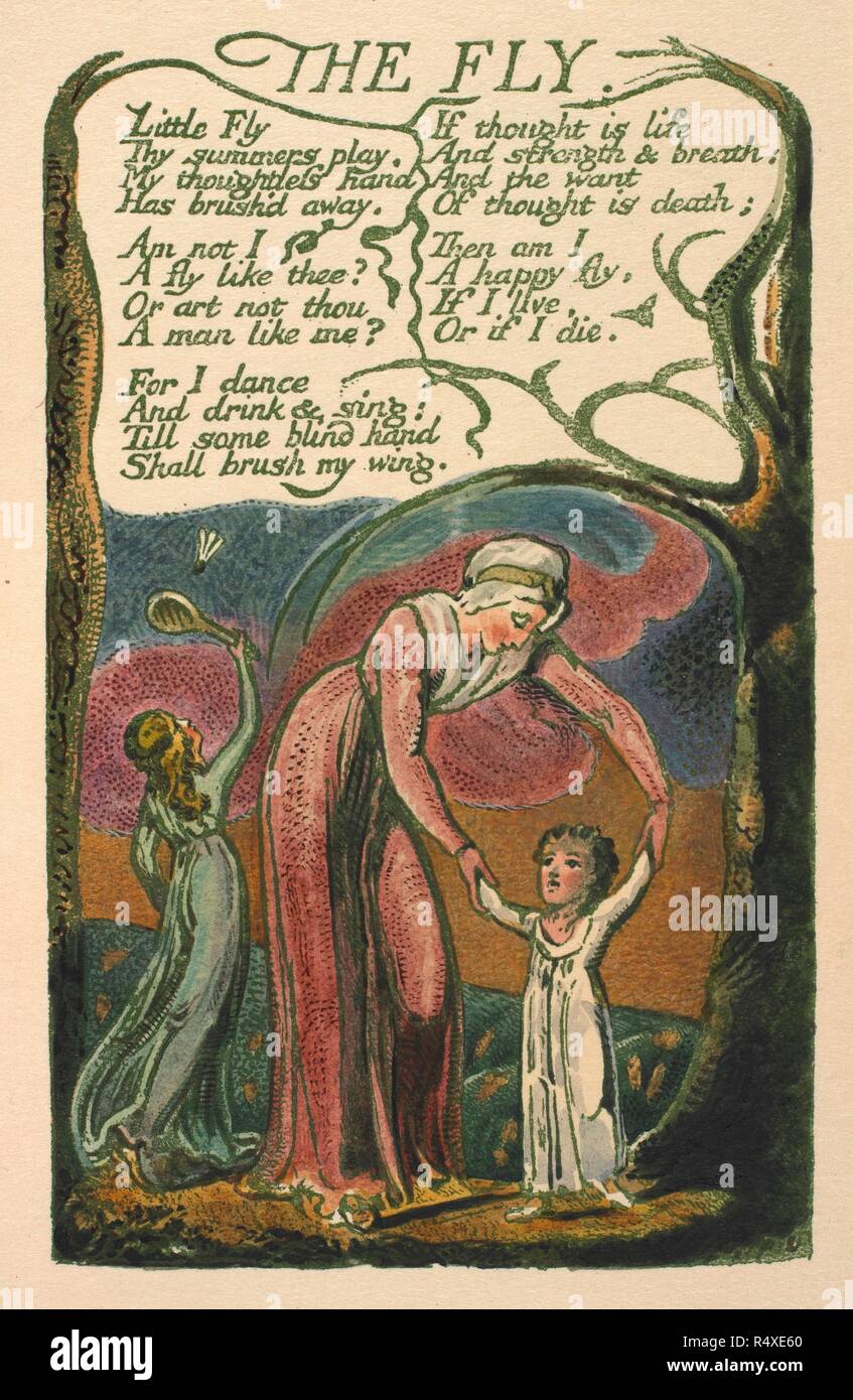 Die fliegen. Lieder der Unschuld und Erfahrung. H. Jung & Söhne: Liverpool, 1923. Die fliegen. Illustrierte Gedicht Bild aus "Songs von Unschuld und Erfahrung. [Ein Faksimile eines farbigen und vergoldete Kopie der ersten Edition.]." herausgegeben von H. Jung & Söhne: Liverpool, 1923. Quelle: C.71. d. 19, Seite 40. Sprache: Englisch. Autor: Blake, William. Stockfoto