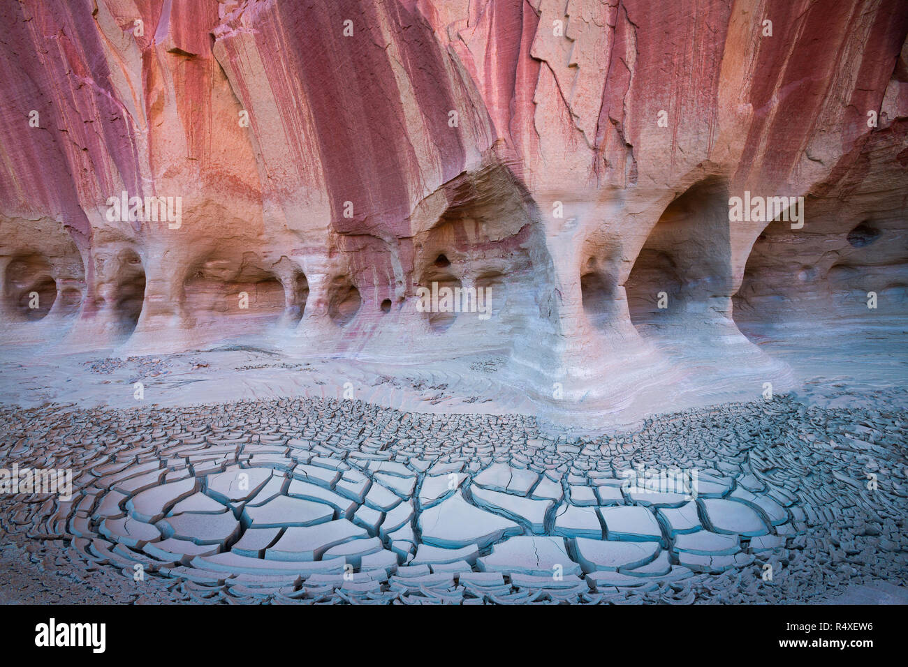 Risse im Schlamm, Wüste, Lack, und Canyon Fenster sorgen für einen interessanten Teil des Paria Canyon in Utah. USA Stockfoto