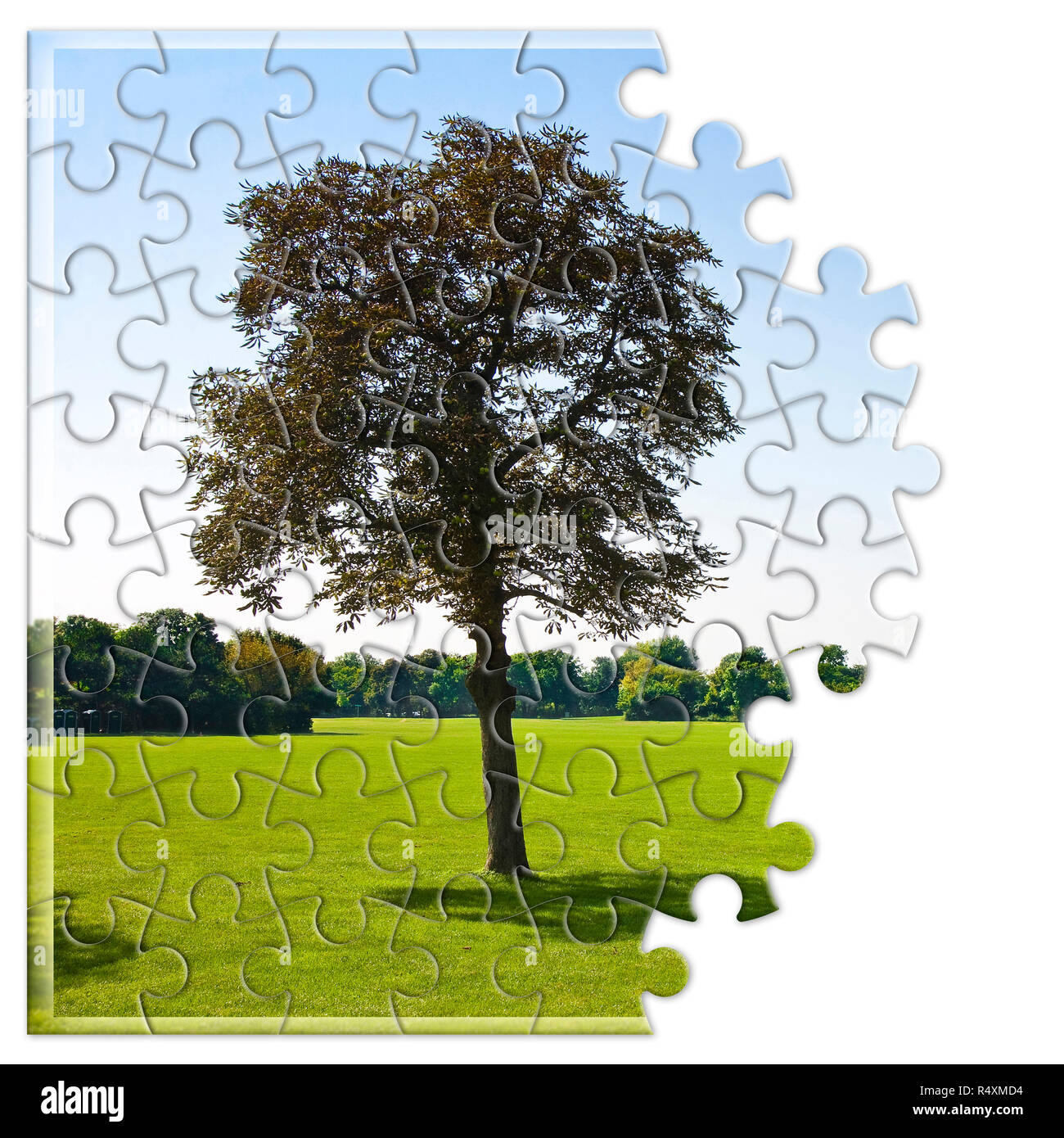 Isolierte Baum auf einer grünen Wiese - Umweltschutz Konzept Bild im Puzzle Form Stockfoto