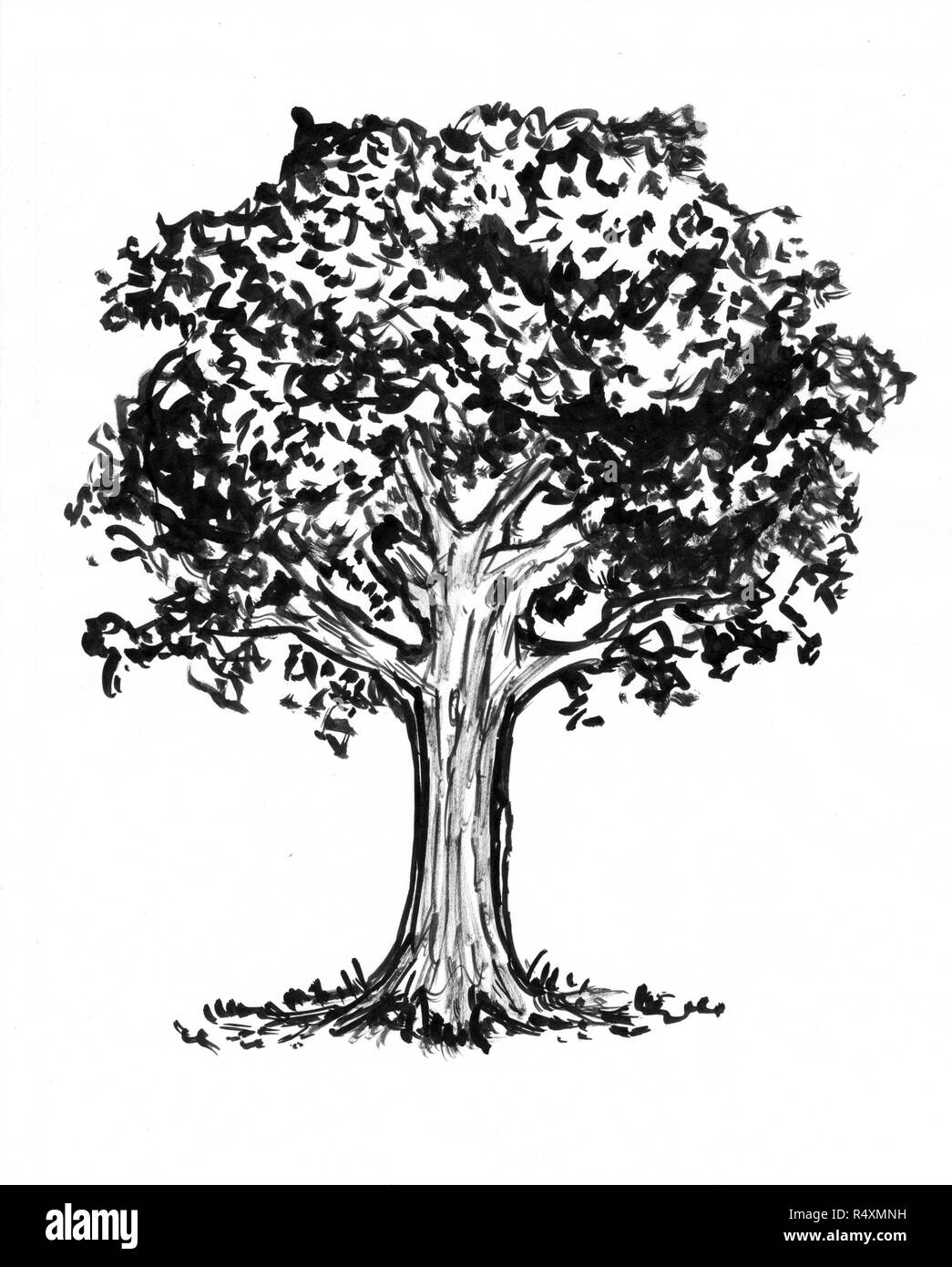 Schwarze Tinte Hand Zeichnung der Baum Stockfoto