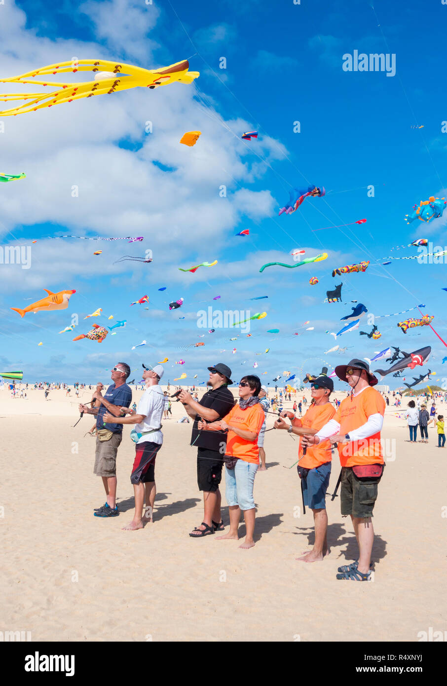 Drachenfliegen auf Fuerteventura international kite Festival 2018. Fuerteventura, Kanarische Inseln, Spanien Stockfoto