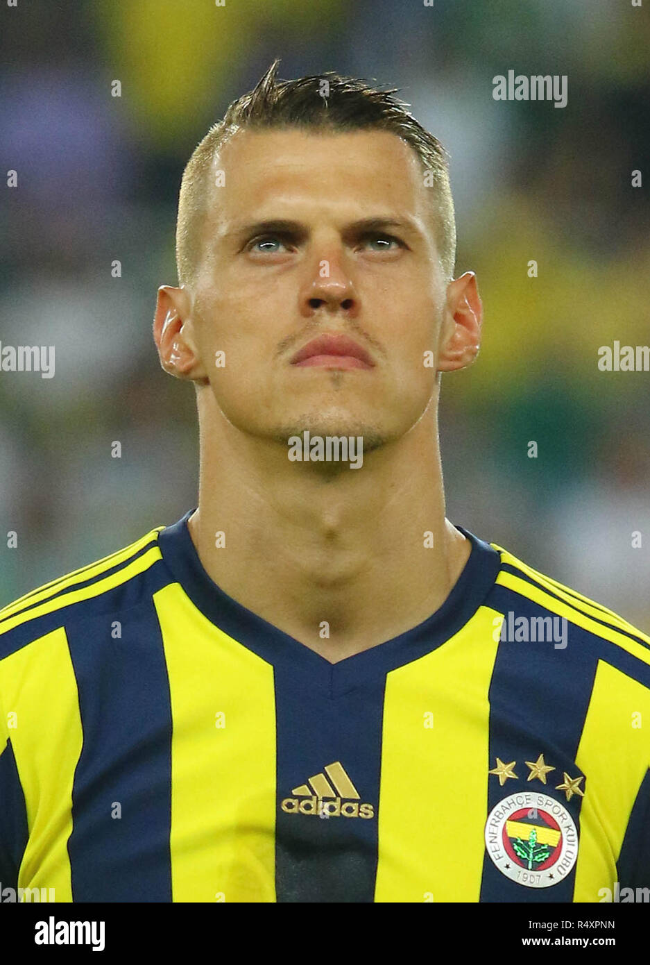 Martin Skrtel von Fenerbahce Stockfoto