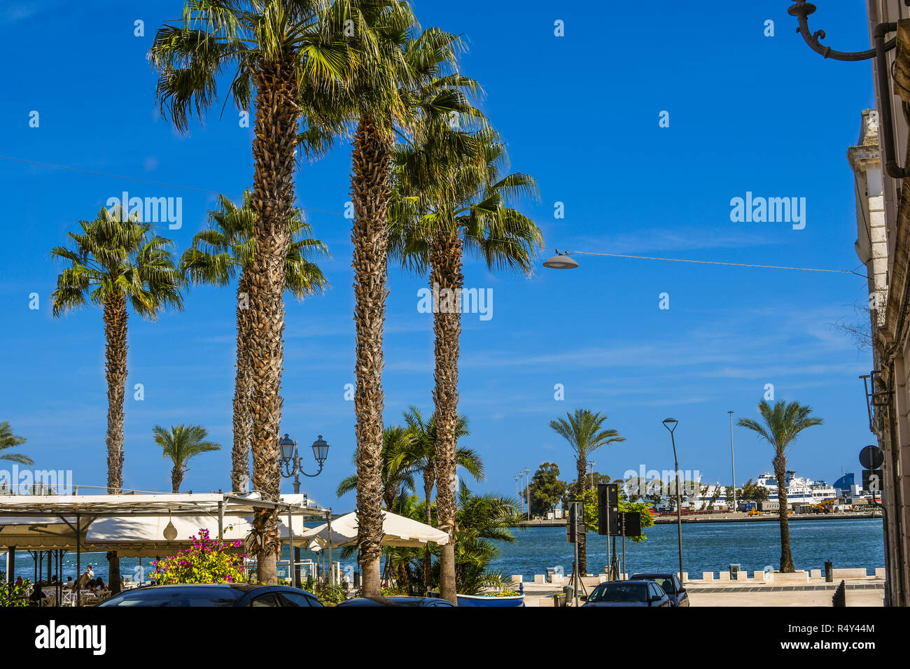 Palm treesagainst den blauen Himmel an der Strandpromenade der Hafenstadt Brindisi, Italien, an der südlichen Adria Küste in der Region Apulien Stockfoto