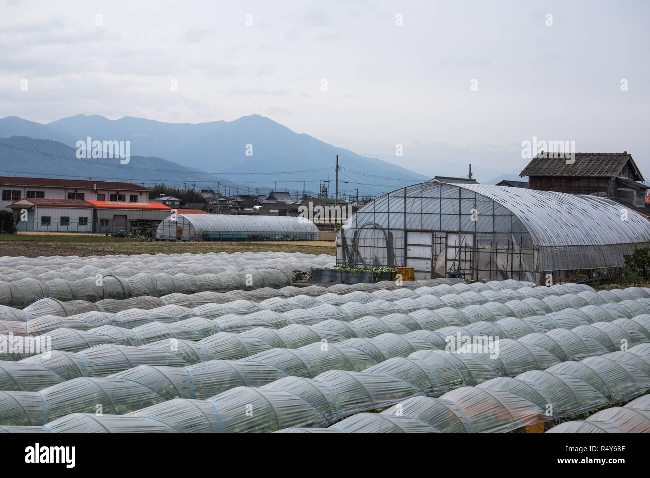 Japanische Landwirtschaft, ländliche Landschaft, Kunststoff tunnel Häuser, Tokushima, Shikoku, Japan Stockfoto