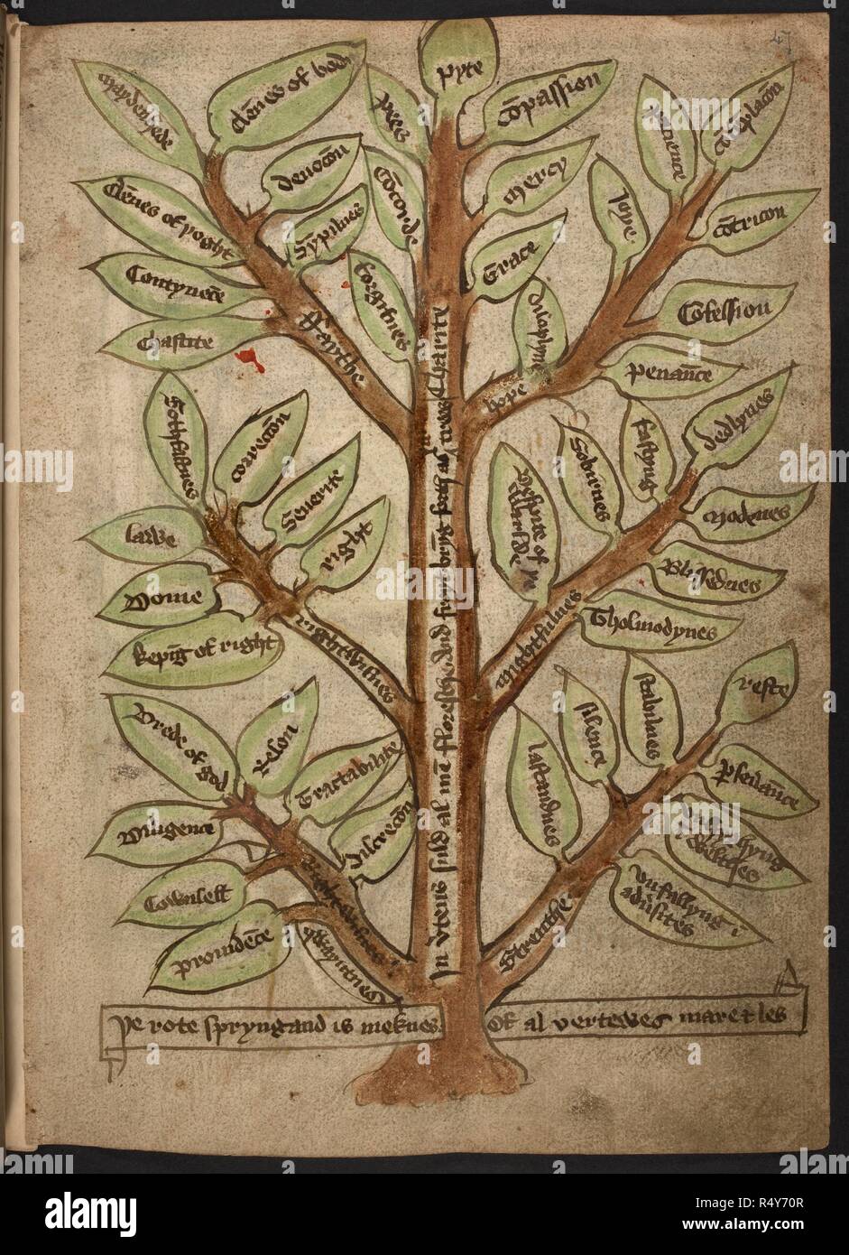 Ein Beispiel für einen gesunden Baum. In einem religiösen Kontext. Tugenden auf den Blättern aufgeführt. . Die Wüste von Religion und andere Gedichte und religiöse Stücke. Die Wüste von Religion und andere Gedichte und religiöse Stücke, etc., überw. Ill., in englischer Sprache. Quelle: Hinzufügen. 37049 f 47. Sprache: Englisch. Stockfoto