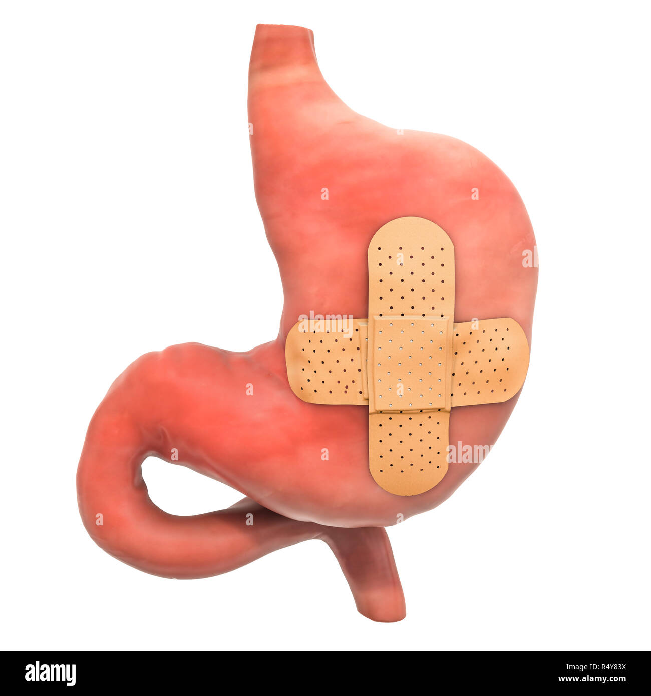 Menschlichen Magen mit wundschnellverband. Behandlung von Magen Konzept, 3D-Rendering auf weißem Hintergrund Stockfoto