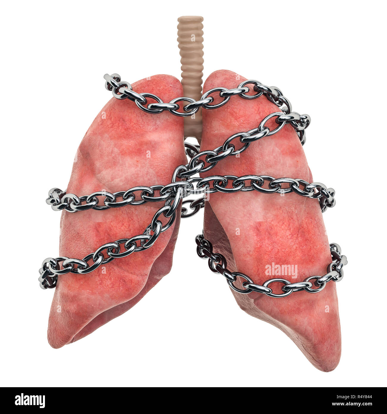 Lungen Schmerzen Konzept. Menschliche lungen mit Kette. 3D-Rendering auf weißem Hintergrund Stockfoto