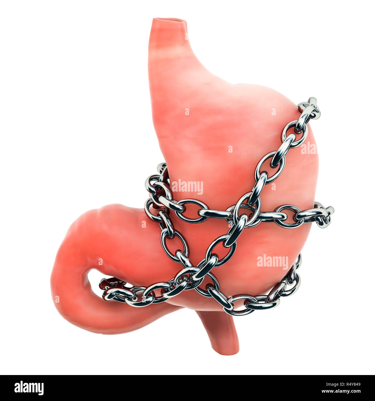 Magenschmerzen Konzept. Menschlichen Magen mit Kette. 3D-Rendering auf weißem Hintergrund Stockfoto