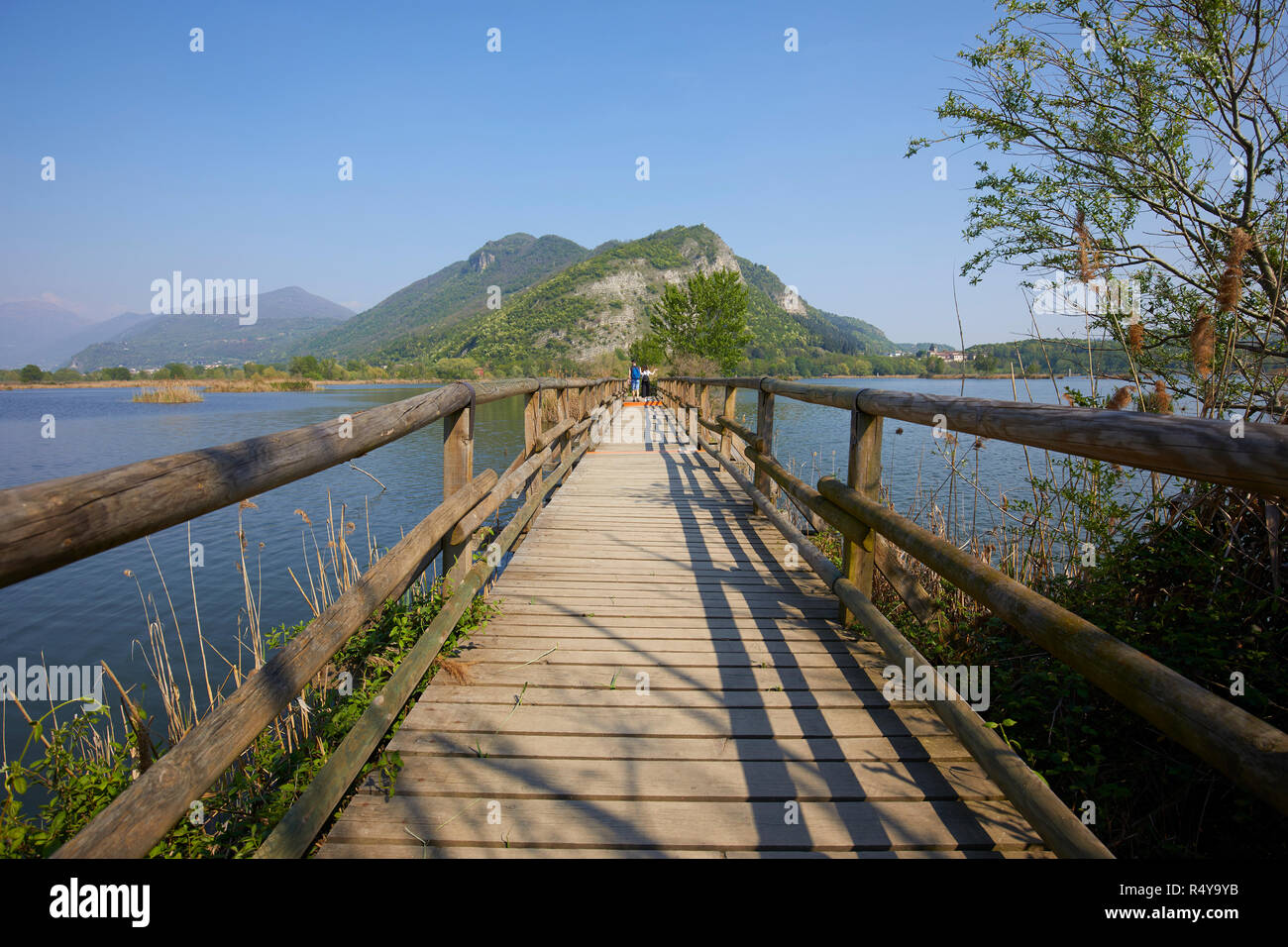 Hölzernen Brücke an Sebino Peat-Bog Nature Reserve, im Süden des Lago d'Iseo, Provinz Brescia, Italien Stockfoto