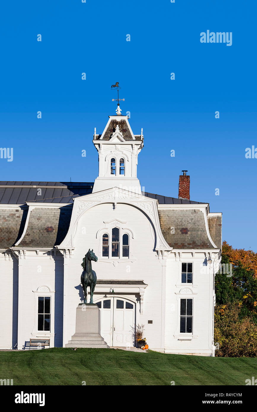 Morgan Horse Farm, Middlebury, Vermont, USA. Stockfoto