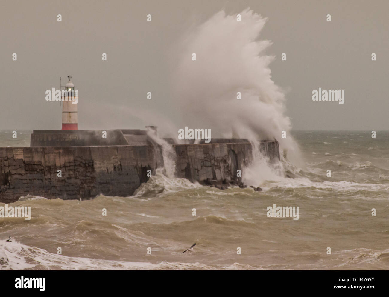 Newhaven, East Sussex, UK..28. November 2018..Starker Wind aus dem Südwesten peitscht die Wellen an der Südküste hoch. Stockfoto