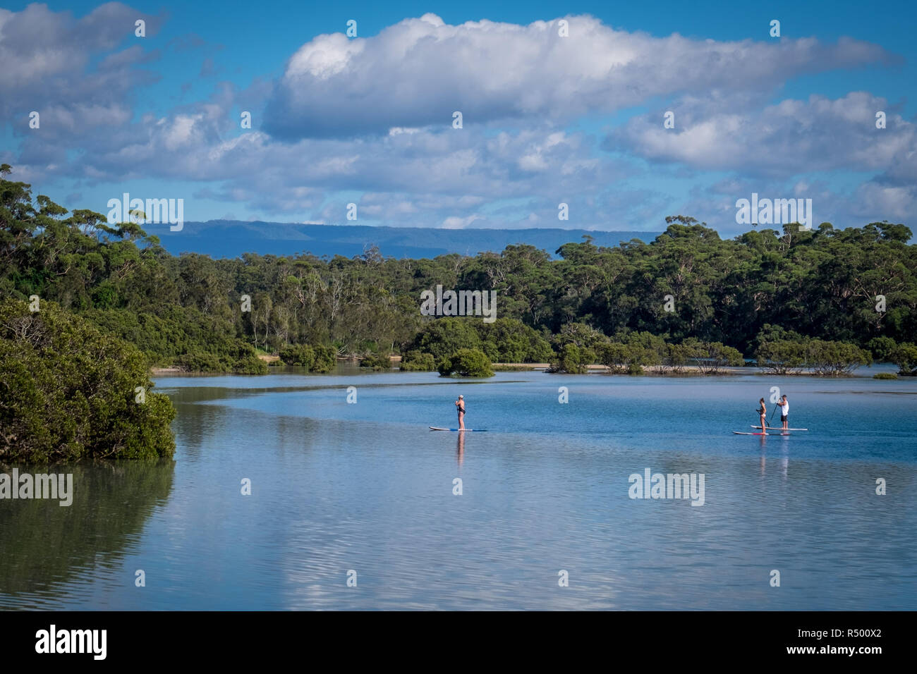 Menschen Paddle Boarding auf narrawallee Creek in New South Wales Stockfoto