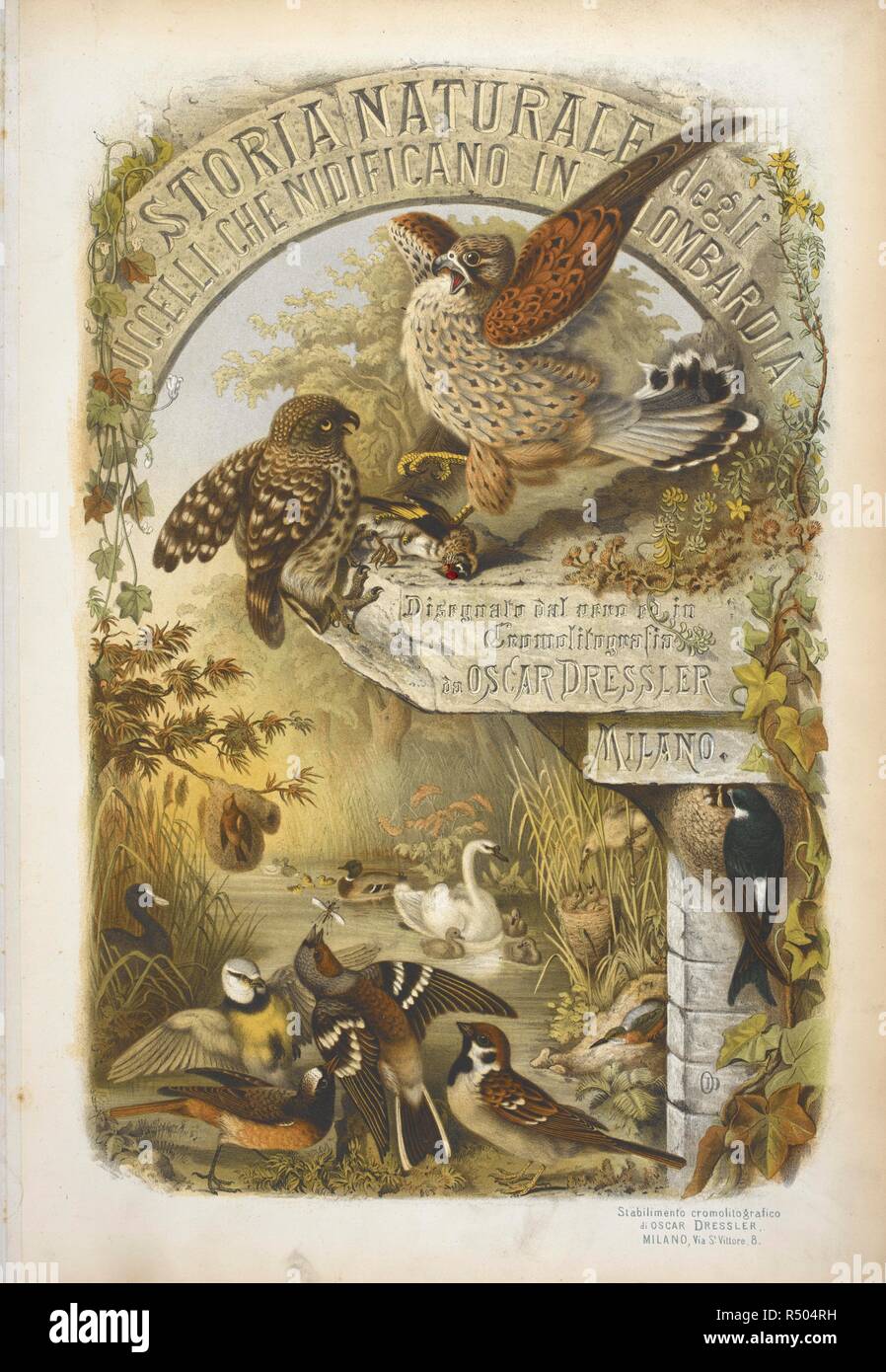 Illustrierte Titelseite, zeigen verschiedene Vögel. Storia Naturale degli Uccelli che nidificano in der Lombardei, ad illustrazione della raccolta ornitologica dei Fratelli Ercole ed Ernesto Turati... Con tavole litografate e colorate, prese dal Vero da O. Dressler. [Naturgeschichte der Vögel, Nest in der Lombardei, die ornithologische Sammlung der Brüder Ercole und Ernesto Turati zu illustrieren... Mit Tabellen und farbigen Lithographierten, aus dem Leben von O. Dressler.] genommen. Milano 1865, 71. Quelle: 1822. C.6 Titelseite. Sprache: Italienisch. Stockfoto