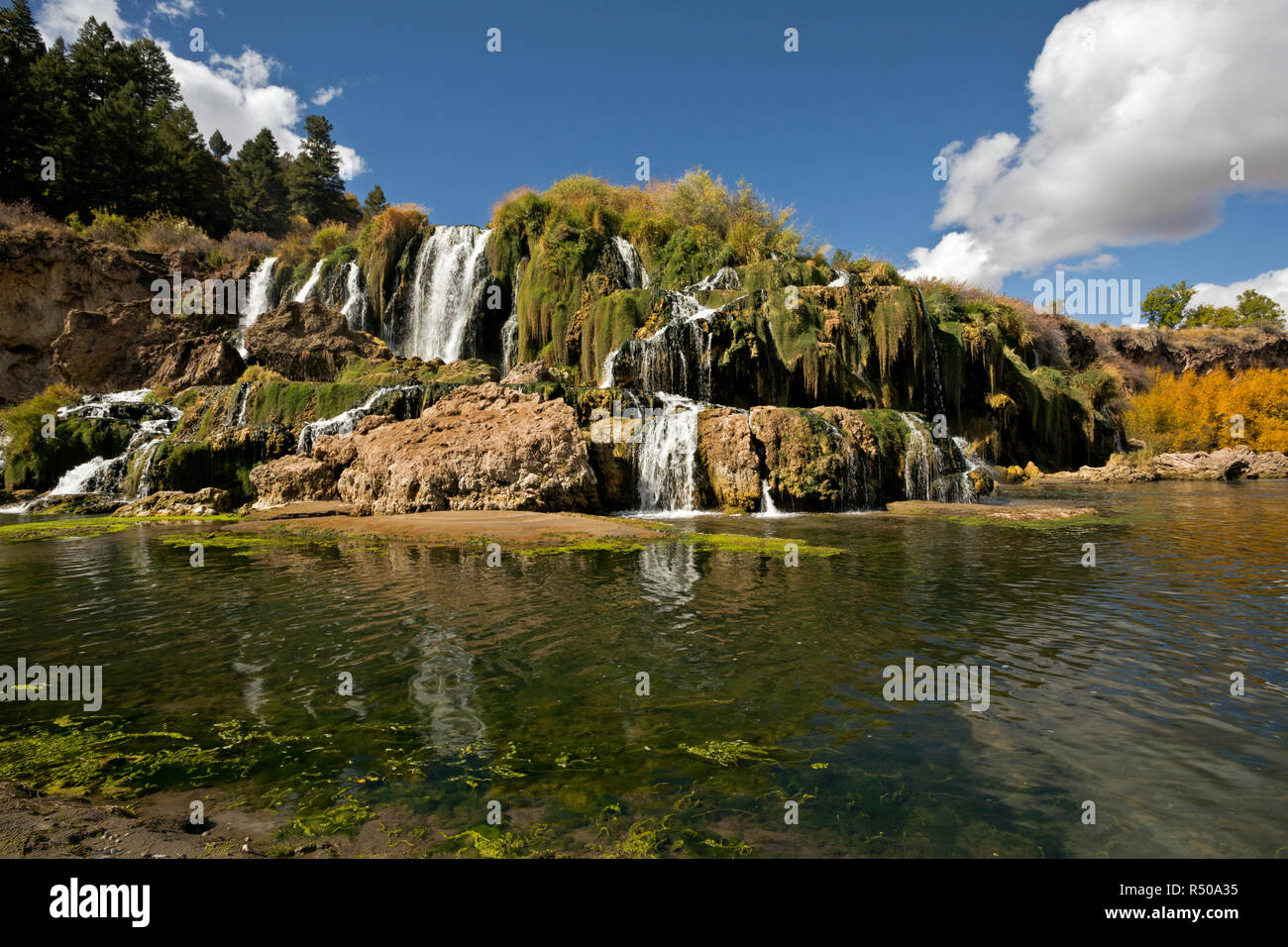 ID 00754-00 ... IDAHO - Falls Creek absteigend einen terrassierten Hang zum Snake River Falls Creek fällt im Swan Valley. Stockfoto