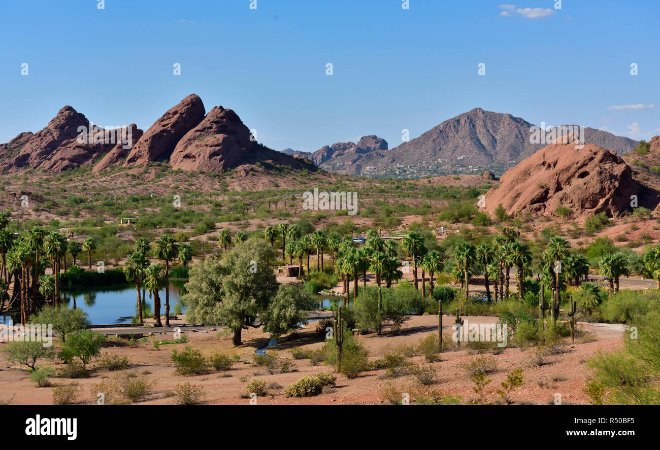 Papago Park mit Seen, Teiche und interessante Sandstein Felsformationen in Dessert in der Nähe der Innenstadt von Phoenix, Arizona, USA Stockfoto