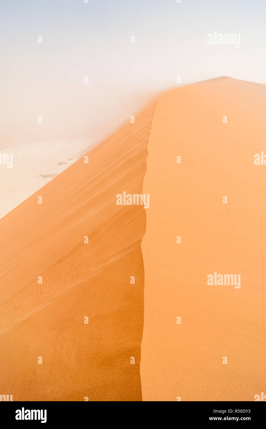 Nach oben Big Daddy Dünen, Wüste Namib, Namibia Stockfoto