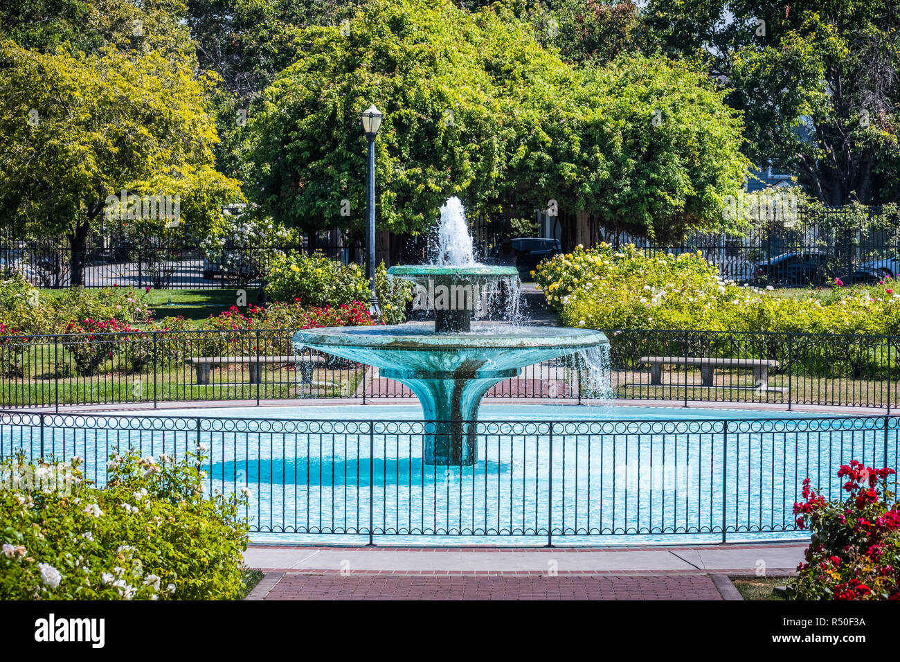 Brunnen von blühenden Rosen in den städtischen Rosengarten, San Jose, San Francisco Bay Area, Kalifornien umgeben Stockfoto