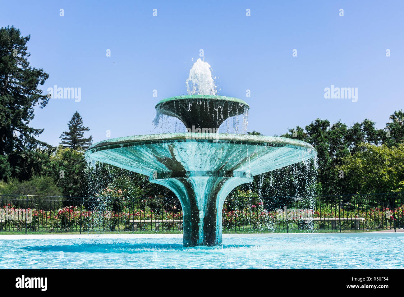 Low Angle View von Springbrunnen umgeben von schönen Rosen, die kommunalen Rosengarten, San Jose, San Francisco Bay Area, Kalifornien Stockfoto
