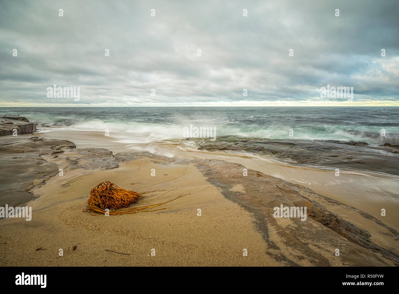 La Jolla, Kalifornien, USA. Foto auf's Hospital Riff an einem trüben November morgens genommen. Stockfoto