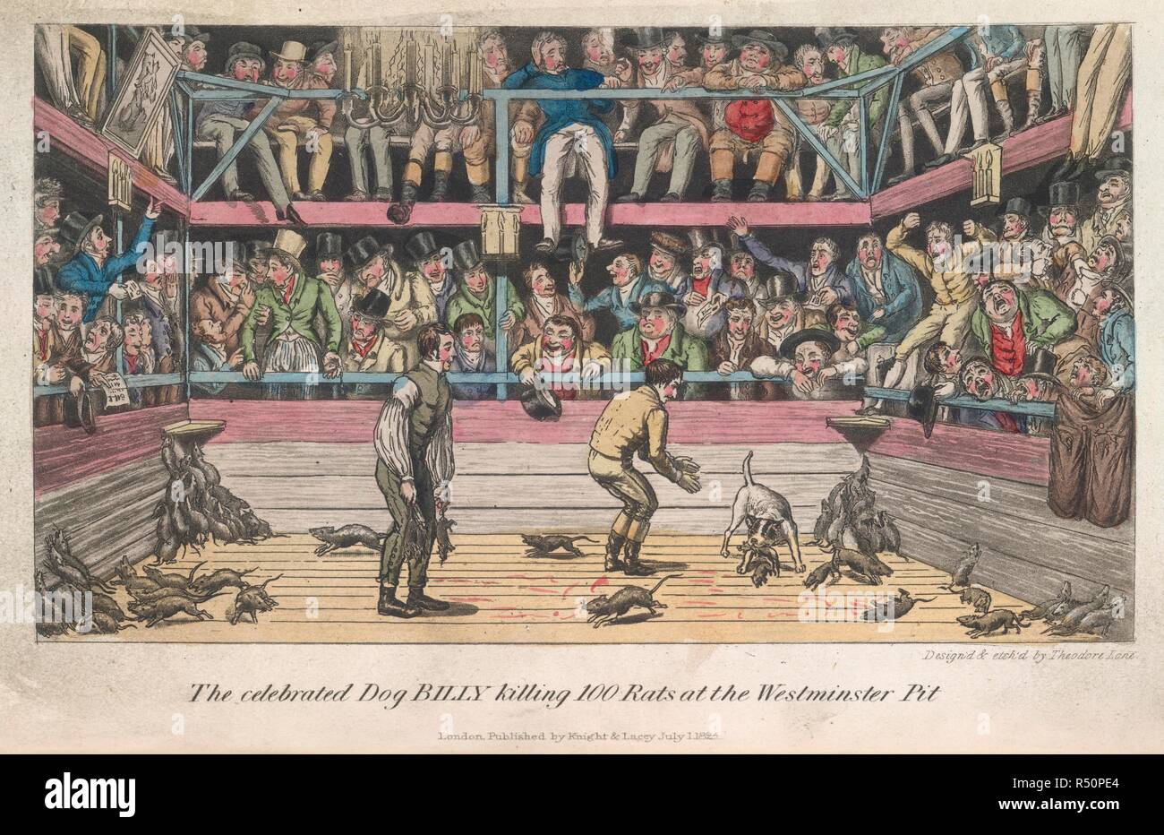 Ratten getötet. S. E. des Anekdoten der Rasen, der Verfolgung, der Ring. London, 1827. Die gefeierte Hund Billy töten 100 Ratten im Westminster Grube". Der Hund, Billy, getötet, 100 Ratten, als Wetteinsatz, in unter 12 Minuten auf den 13. Mai 1821. Bild von P.E.'s Anekdoten der Rasen, der Verfolgung, der Ring, und die Bühne mit 13 farbigen Tafeln, aus der Natur entworfen und von T. Lane geätzt. Ursprünglich veröffentlicht in London, 1827 produziert. . Quelle: C.71.F 7. Sprache: Englisch. Stockfoto