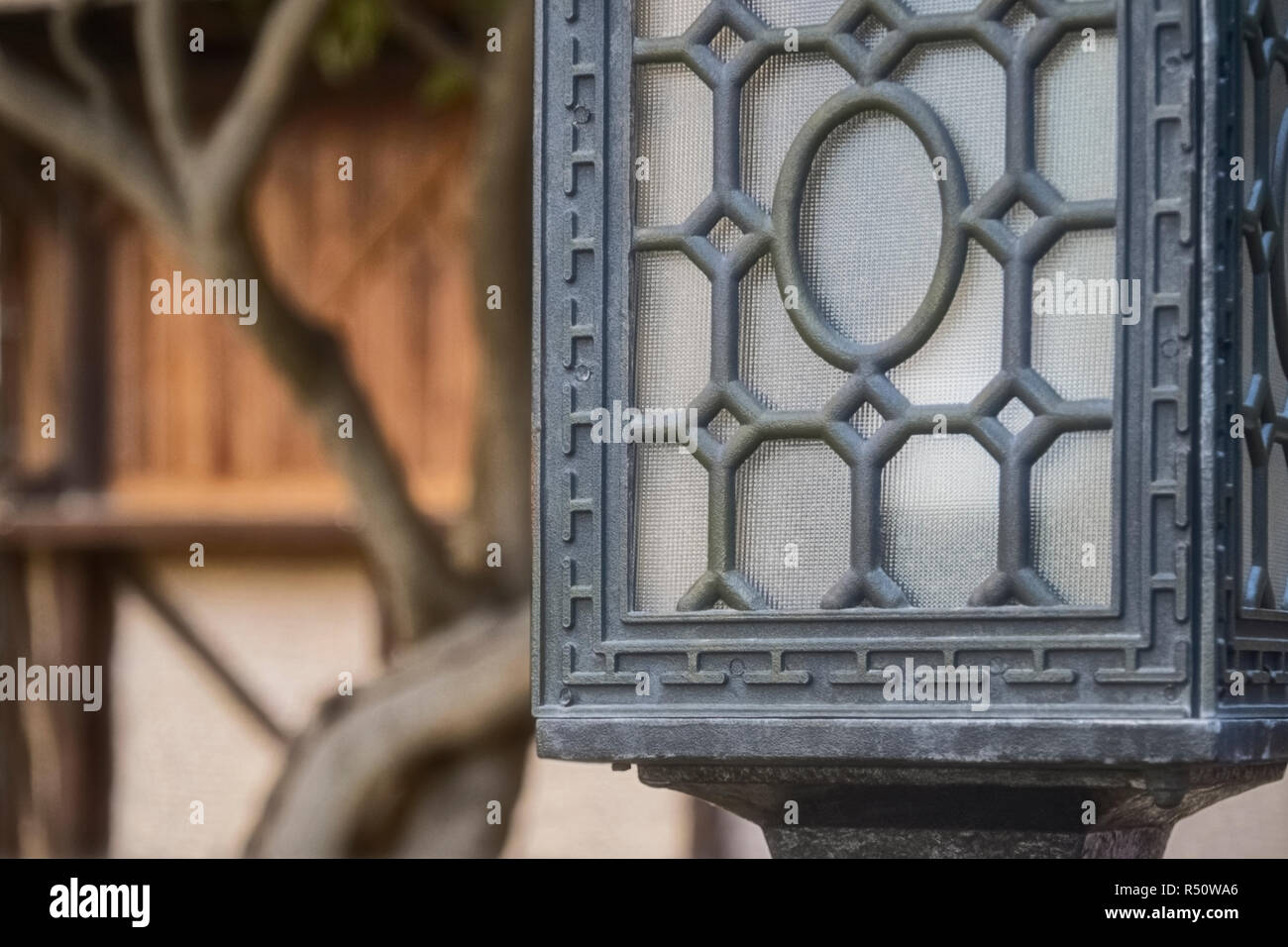 Schwarz beschlagen Lampe vor dem Hintergrund der Baumstamm Magnolia Stockfoto