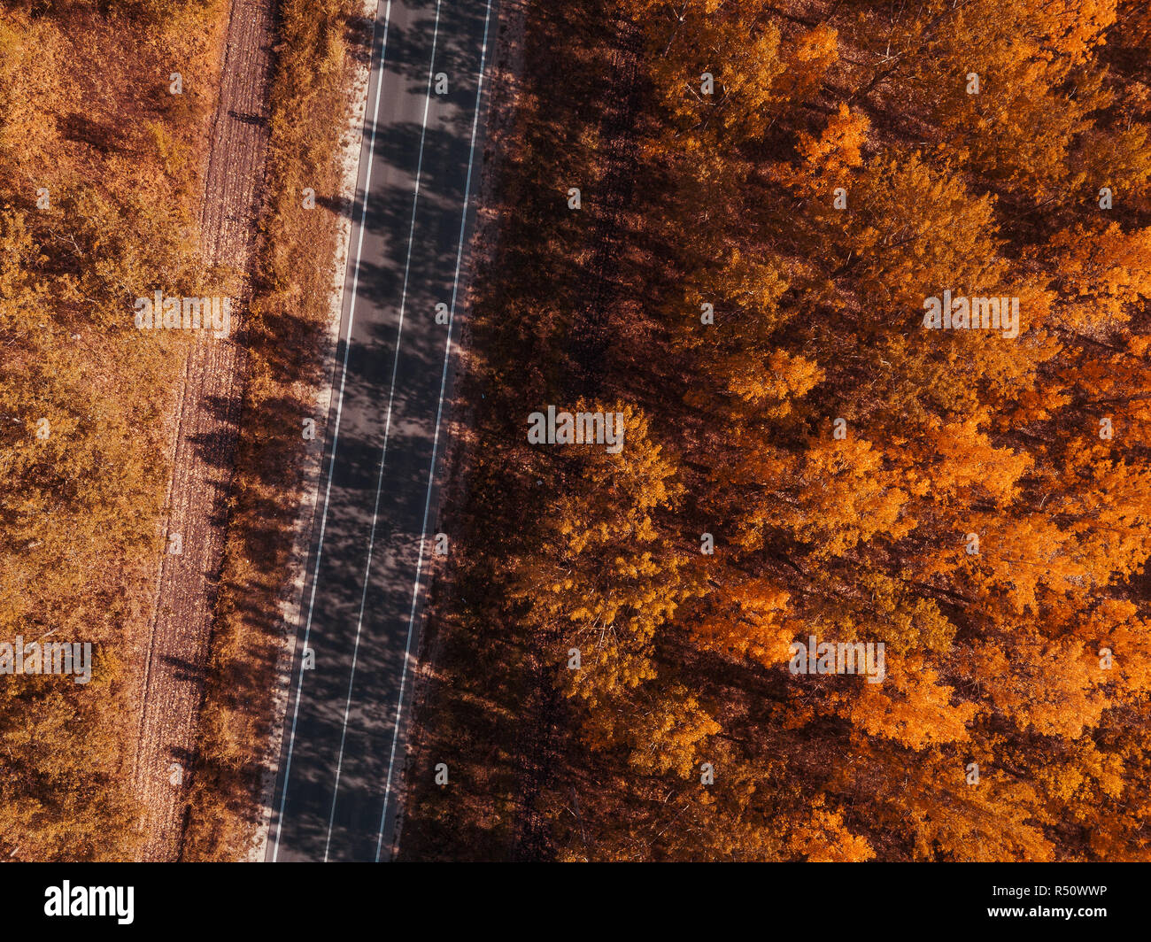 Luftaufnahme von leere Straße durch den Wald im Herbst, Indian summer Landschaft von drone Sicht Stockfoto