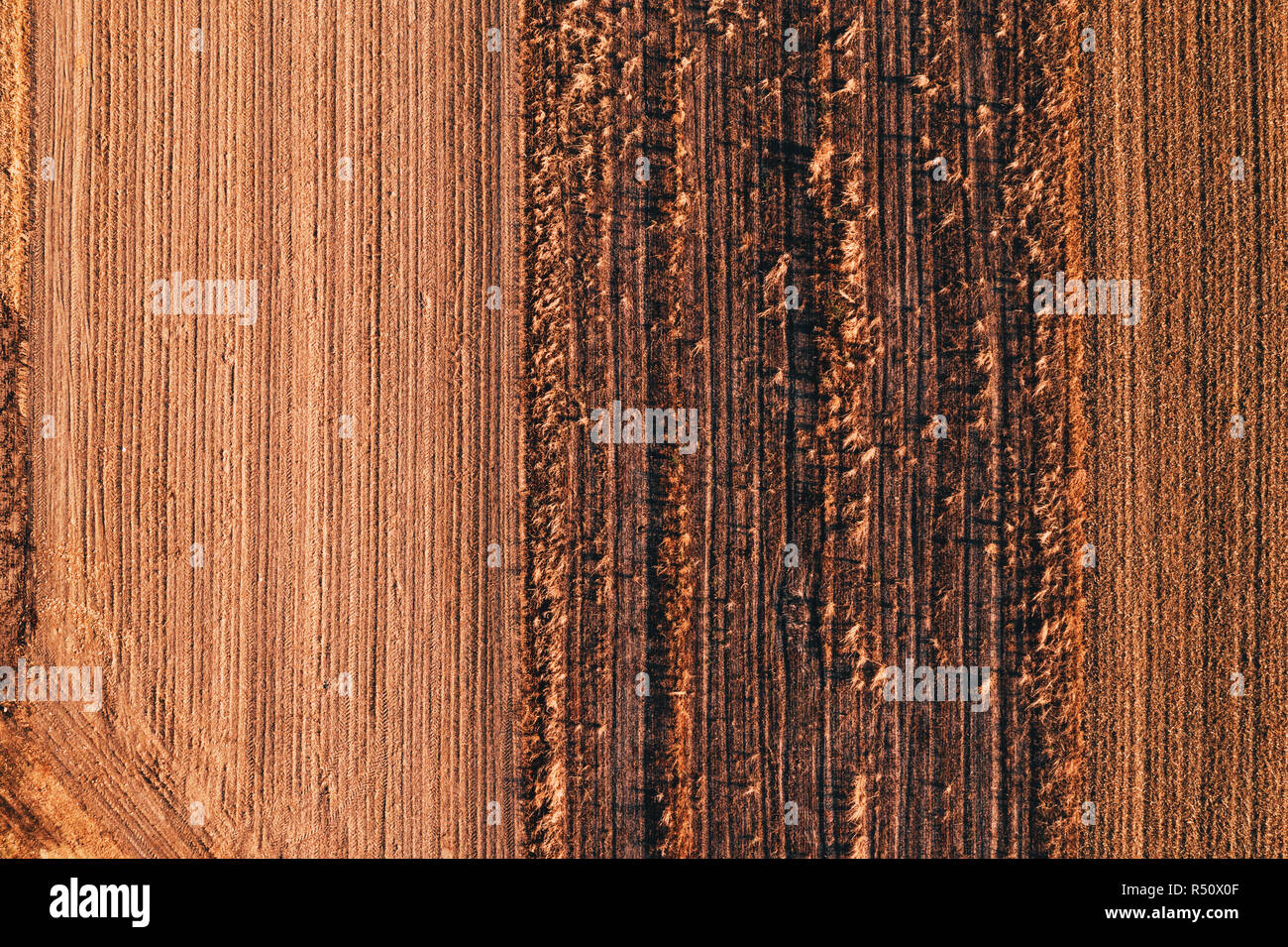 Luftaufnahme von Feld Stoppeln drone pov auf hellen, sonnigen Herbsttag Stockfoto