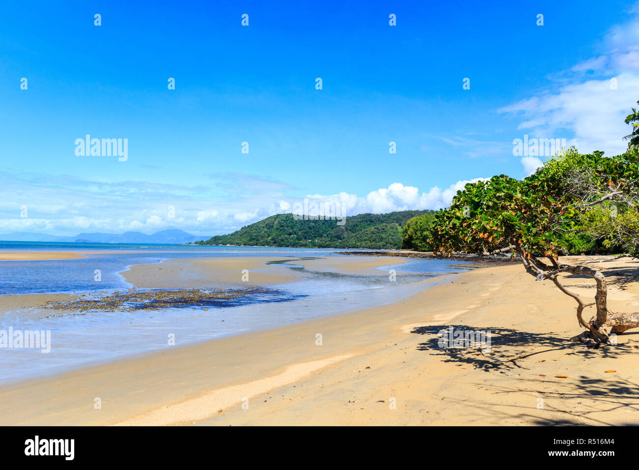 Schönen Tag am Strand von Cape Tribulation, Queensland, Australien Stockfoto