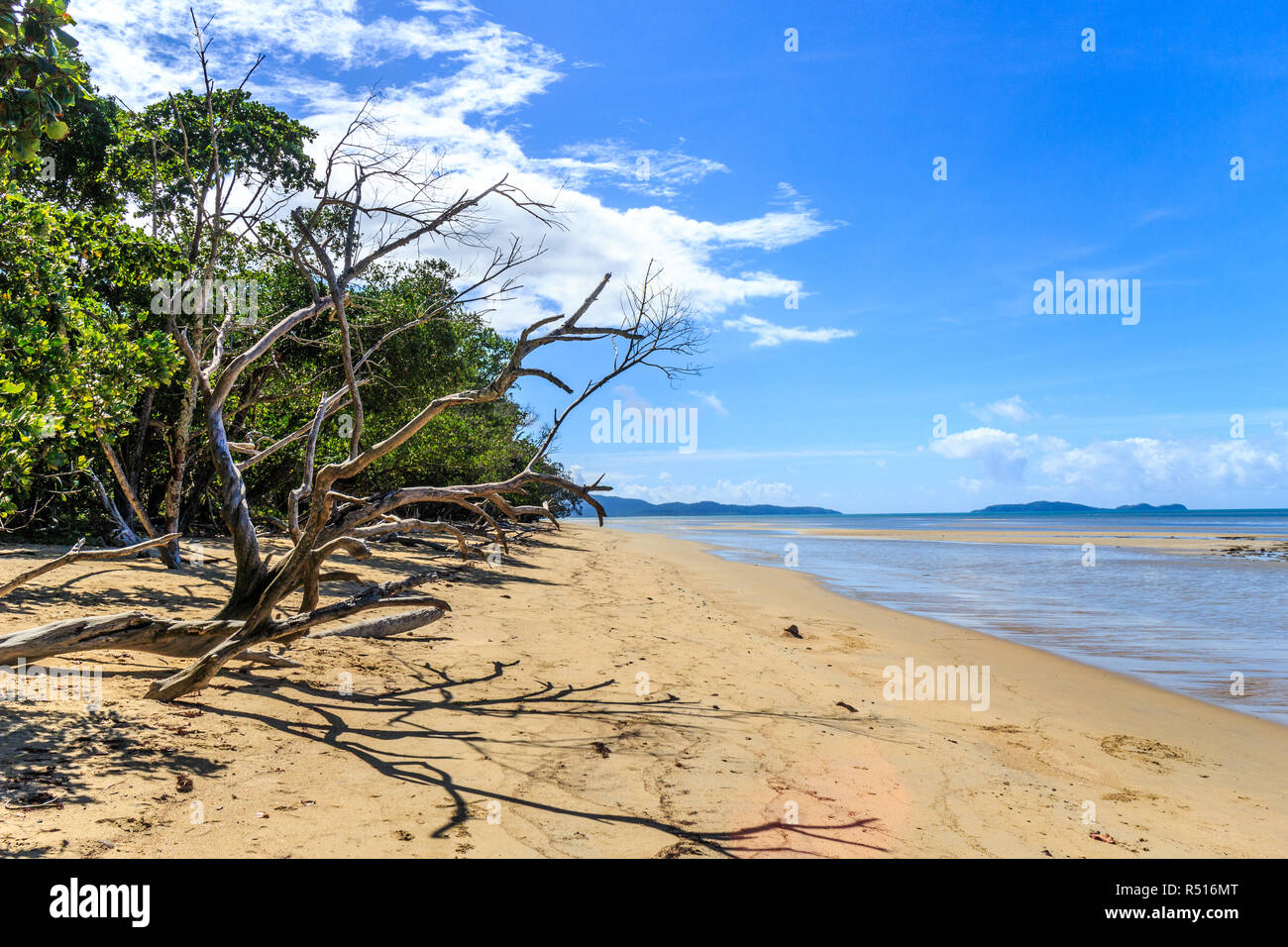 Schönen Tag am Strand von Cape Tribulation, Queensland, Australien Stockfoto