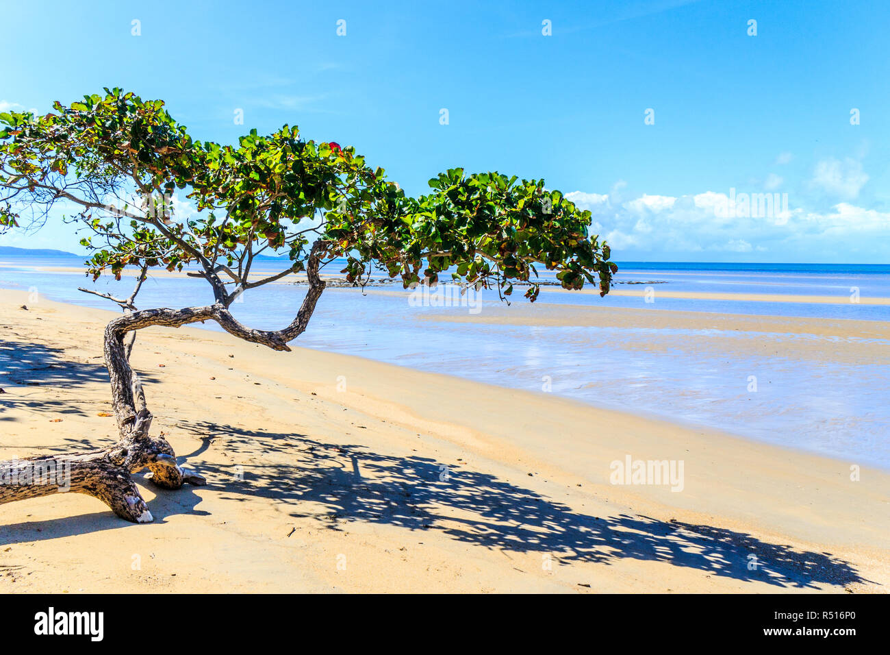 Schönen Tag am Strand von Cape Tribulation, Queensland, Australien Stockfoto