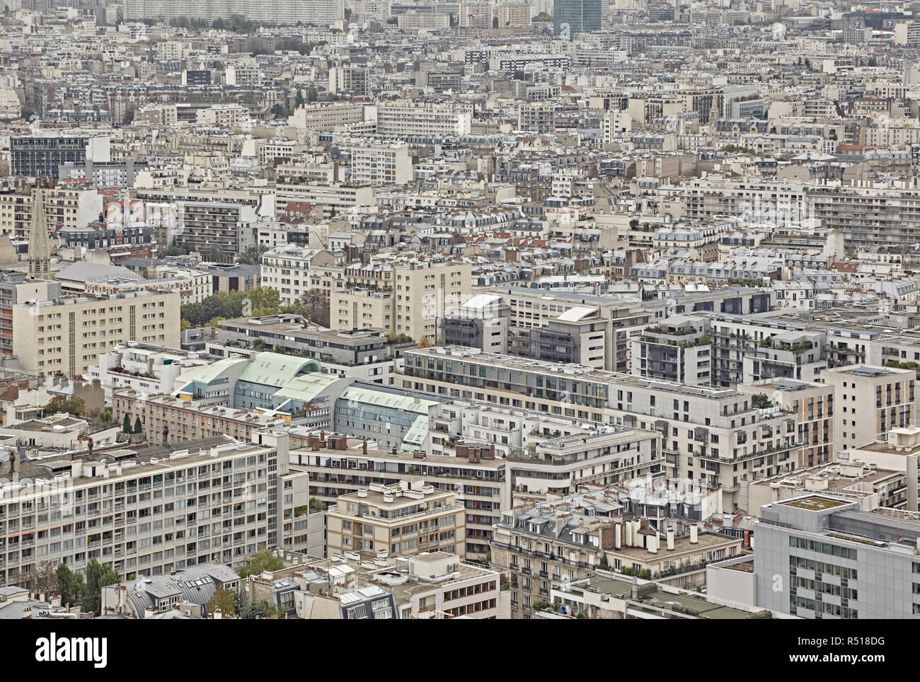 Blick auf den urbanen Dschungel von Paris. Stockfoto