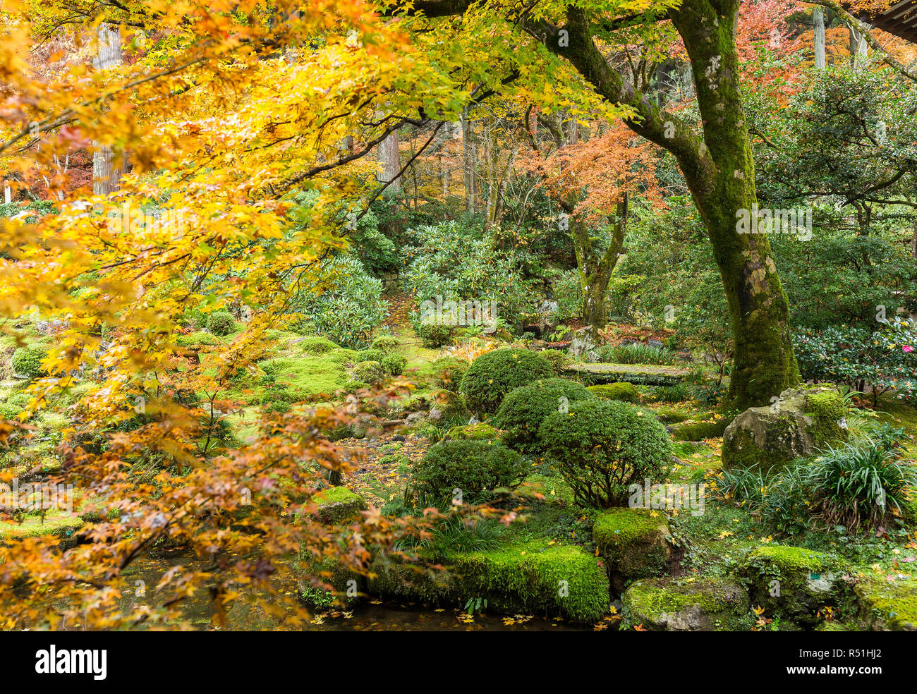 Japanischer Garten mit autuman Saison Stockfoto