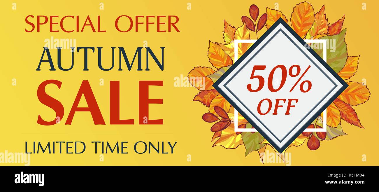 Nur begrenzte Zeit Herbst Sale banner horizontal. Cartoon Illustration Vektor nur begrenzte Zeit Herbst Sale banner horizontal für Web Design Stock Vektor