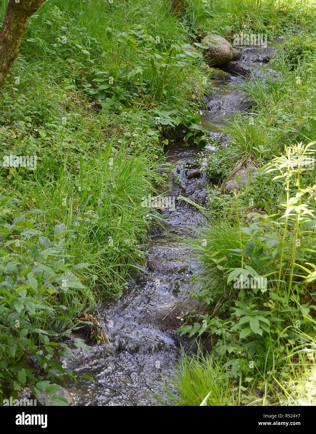 Millstream Stockfoto