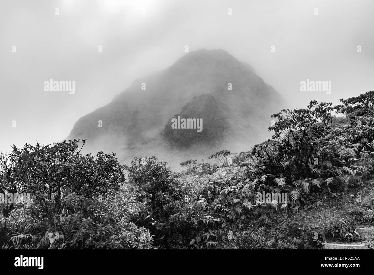 Die Mount Pelee Vulkan und der Nebel in den Dschungel von Martinique Stockfoto