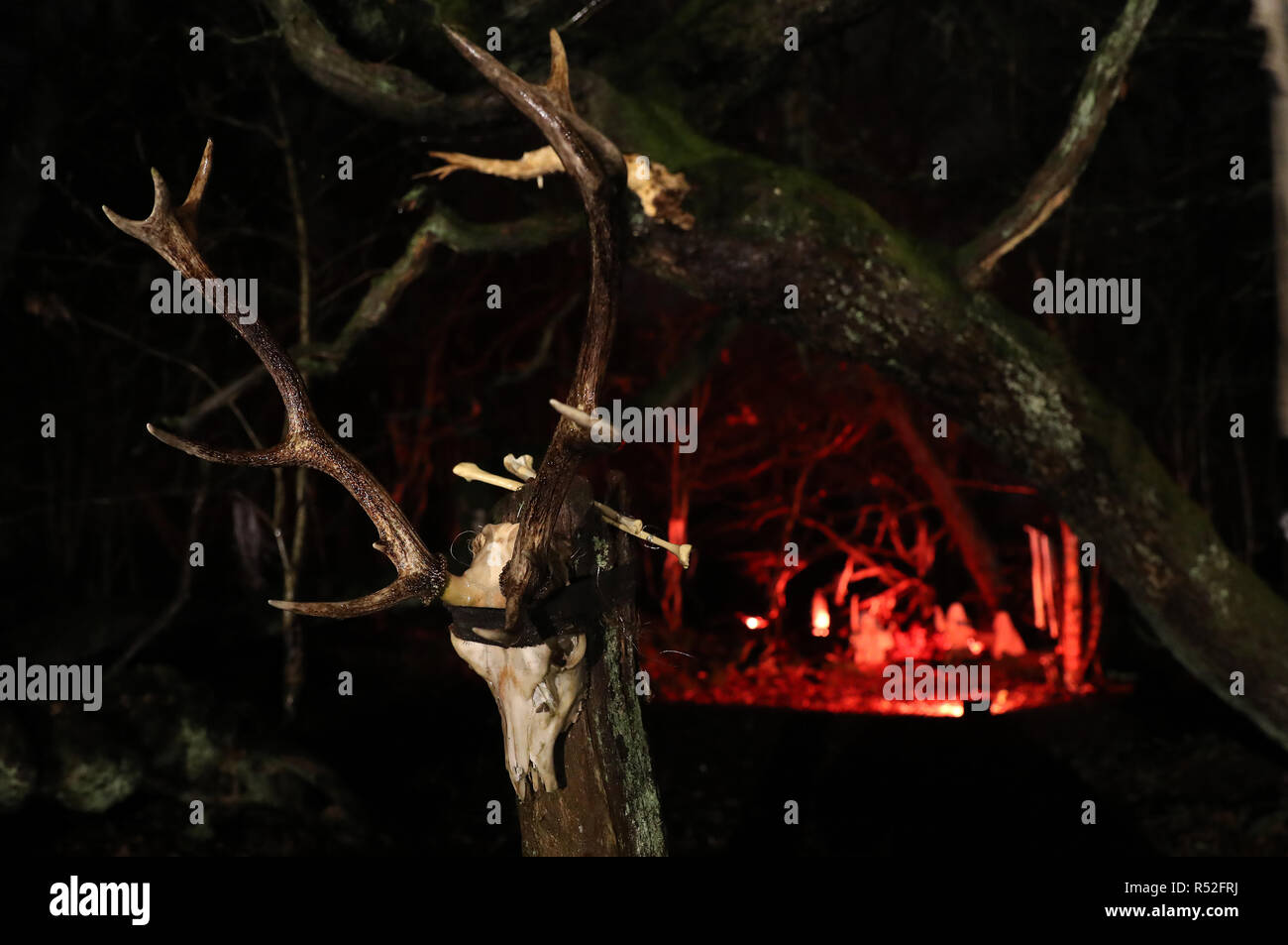 Der Eingang zu den Pikten Camp an der Legion Veranstaltung in rauen Schloss Gemeinschaft Waldland in Falkirk. Stockfoto