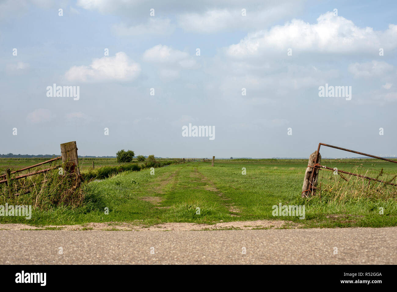 Rustikale Holz, Metall offene Tor wird mit Unkraut und schiefen, grüne Feld und einem hellblauen Himmel mit Wolken überwuchert. Stockfoto