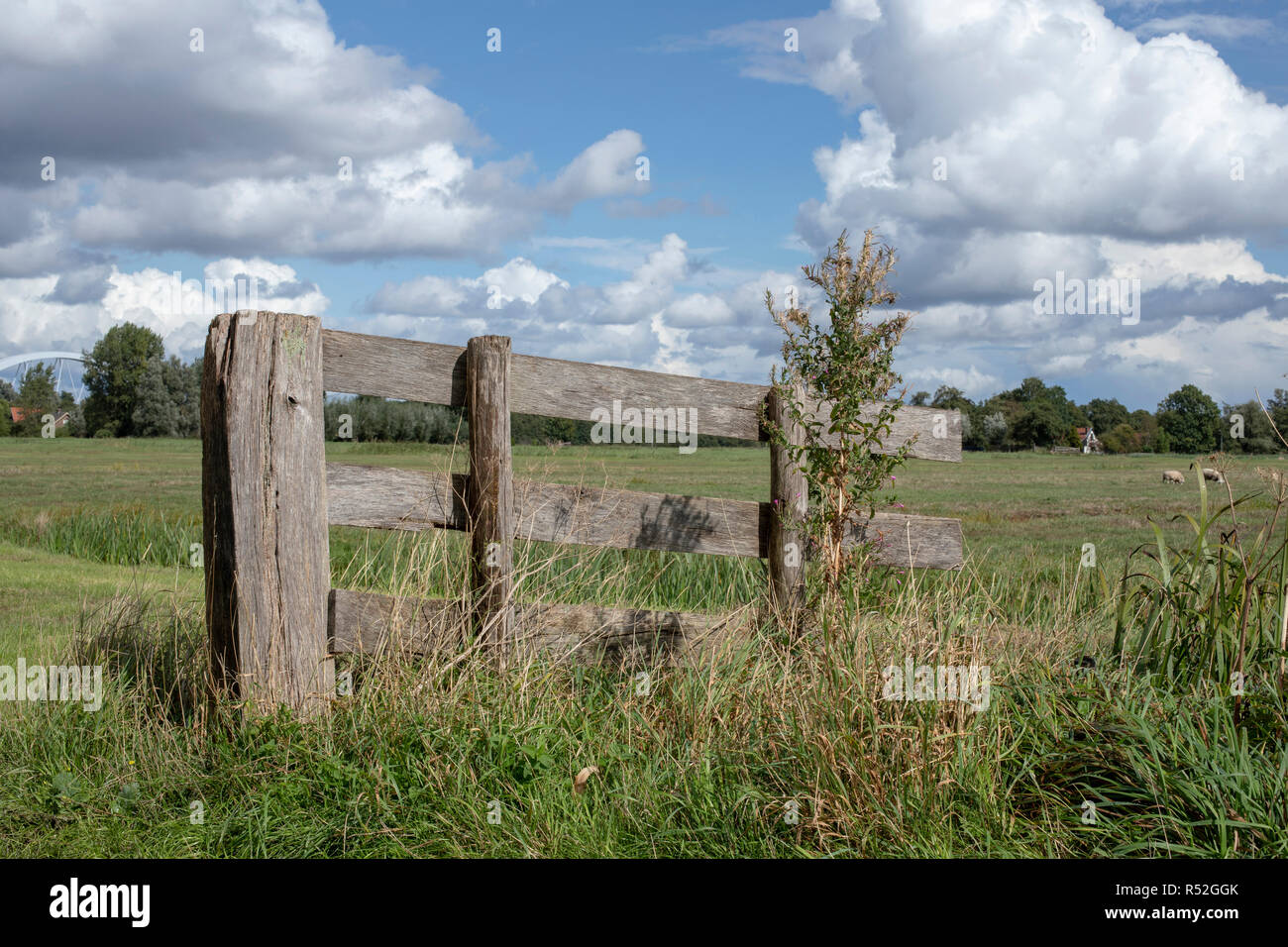 Kleine alte Holzbohlen, hash Zaun in einer Wiese mit Unkraut und einem blauen bewölkten Himmel. Stockfoto