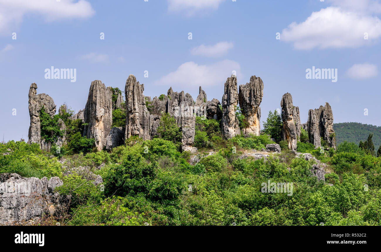 Steinwald Shilin - Provinz Yunnan - China Stockfoto