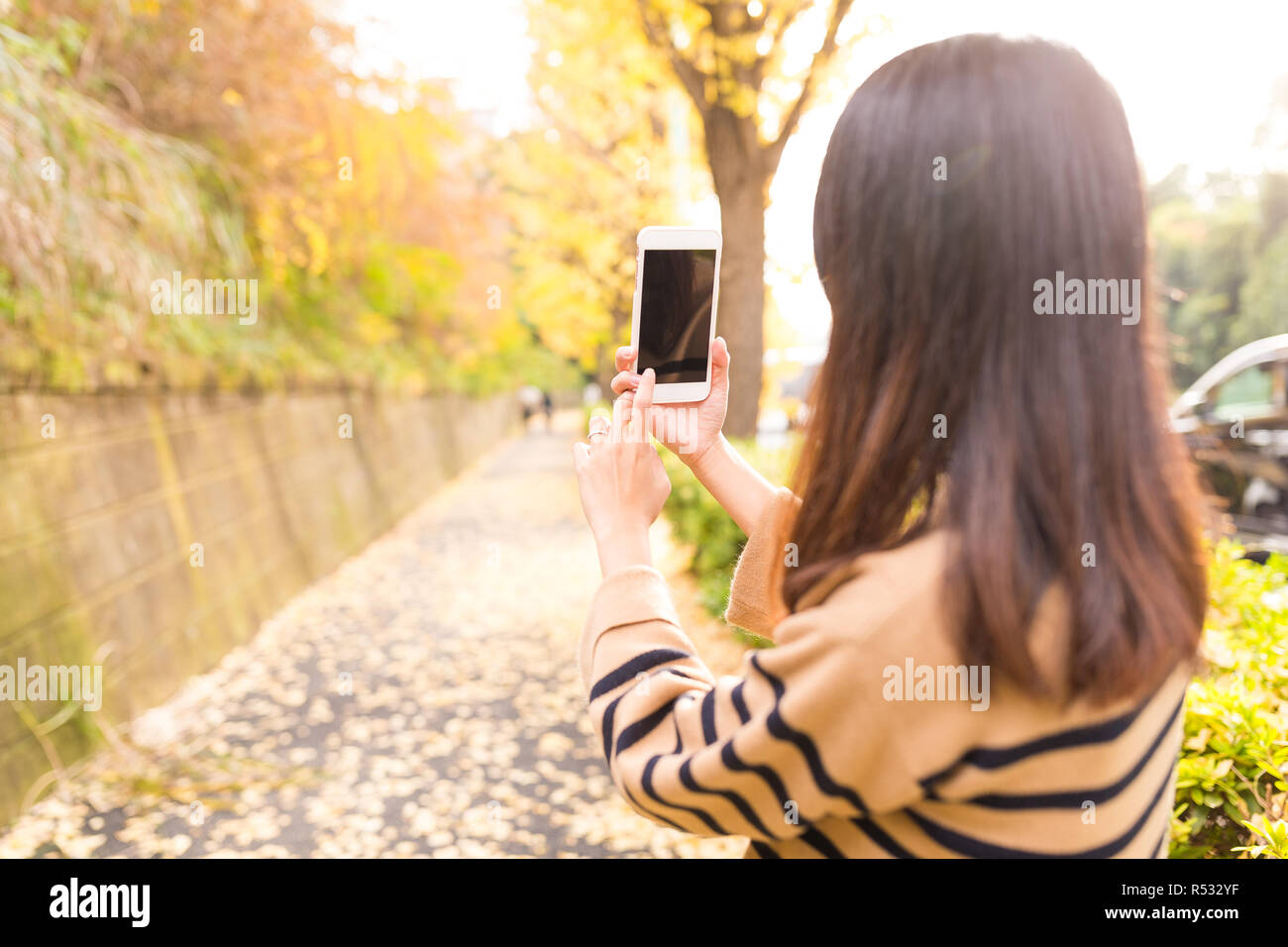 Frau unter Foto mit Handy auf dem autuman Landschaft Stockfoto