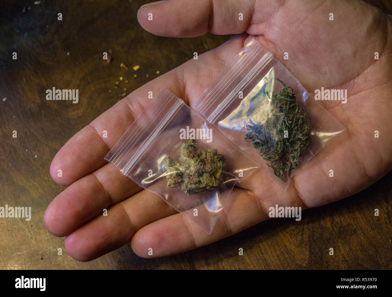 Hand, die zwei Beutel mit verschiedenen Marihuana. Stockfoto