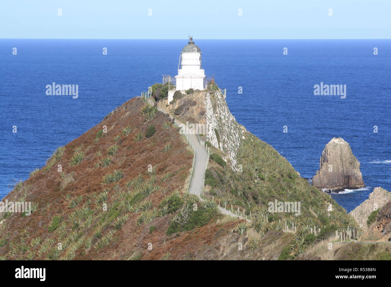 Nugget Point Neuseeland Stockfoto