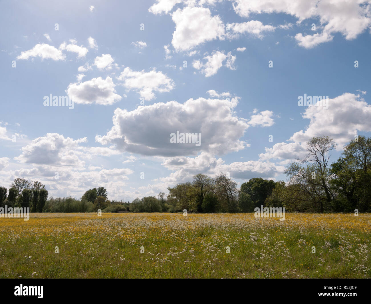 Eine herrliche Landschaft Szene im Sommer draußen im britischen Essex und England mit keine Personen Stockfoto