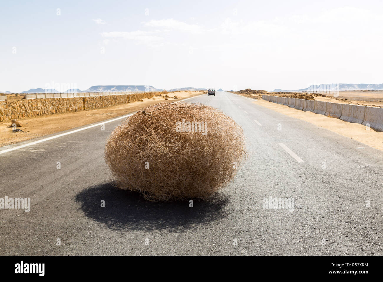 Riesige tumbleweed auf der Autobahn mit sandigen Dünen, zwischen El-Oase Bahariya und Al Farafra oasis, die Westliche Wüste Ägyptens. Sahara. Stockfoto