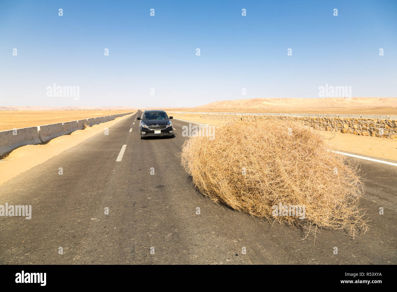 Ein Auto von einem riesigen TUMBLEWEED auf einer Autobahn mit sandigen Dünen angehalten, zwischen Oase Bahariya und Farafra, Sahara, die Westliche Wüste Ägyptens. Stockfoto