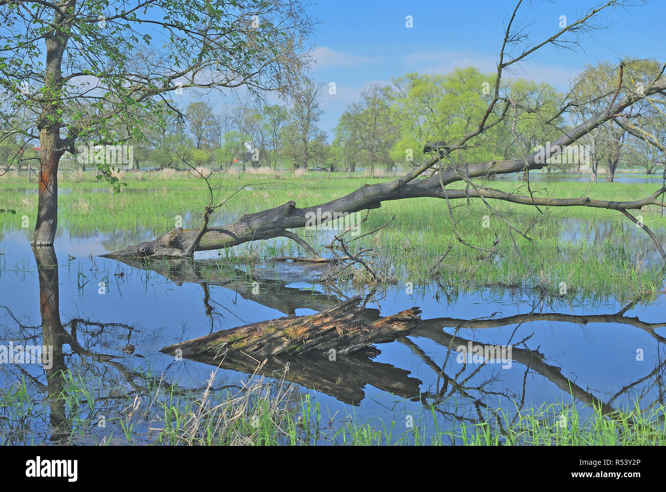 Brandenburg Schwedt Stockfotos und bilder Kaufen Alamy