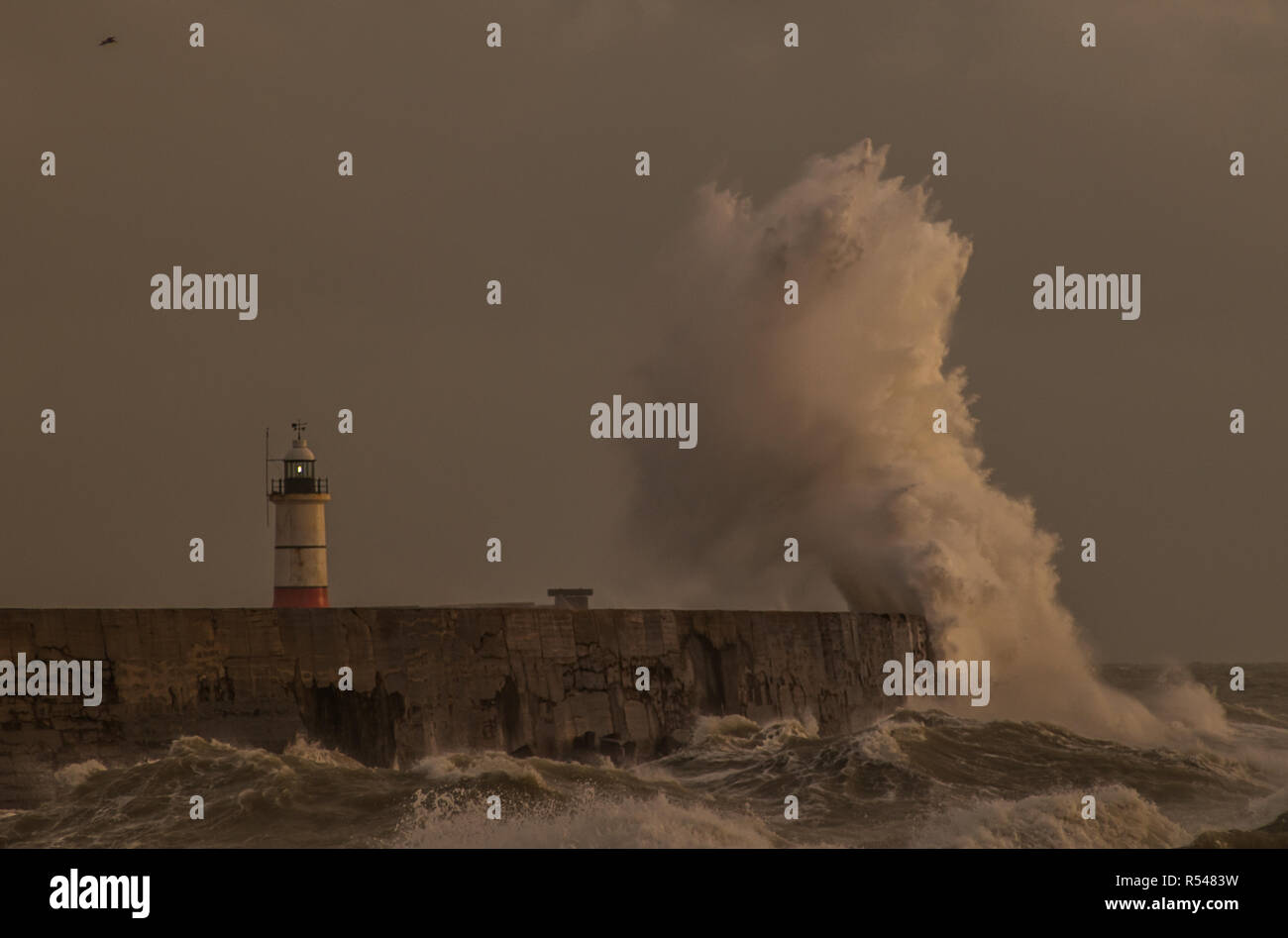 Newhaven, East Sussex, Großbritannien. Nov. 2018. Wetter in Großbritannien: Mehr Wind aus dem Südwesten peitscht die Wellen an der Südküste hoch. Stockfoto