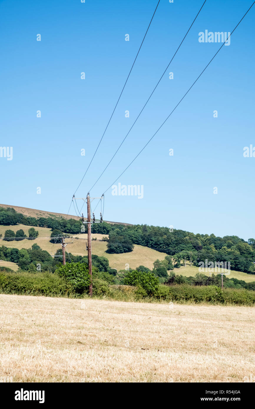 Stromleitungen auf hölzernen utility Pole Strom tragen durch Felder in dem Land, in der Nähe von Peak District, Derbyshire, England, Großbritannien Stockfoto