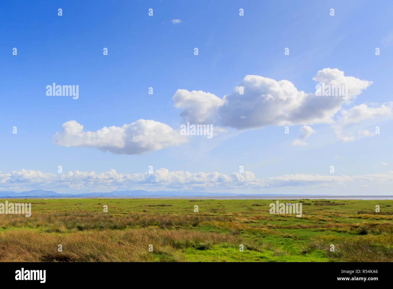 Blick auf den Solway Feuchtgebiet in Cumbria Stockfoto